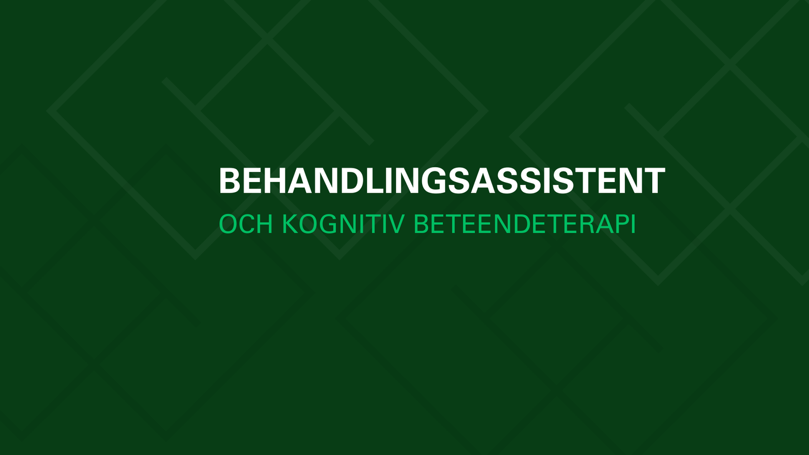 Behandlingsassistent